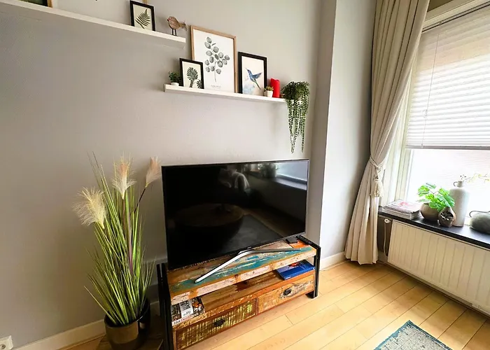 Appartement Stijlvolle Benedenwoning Singel